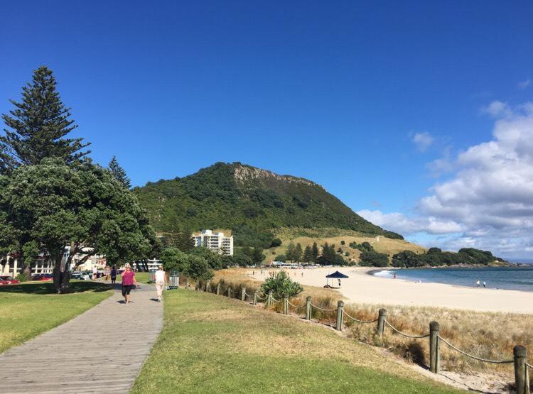 Victoria Road B&B Mount Maunganui Exterior photo